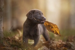 AYX体育-运动员职业技能竞赛方案，运动员职业技能竞赛方案怎么写