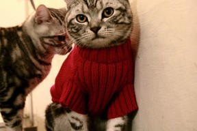 AIYOUXI.COM-全国青少年铁人三项赛在青岛圆满落幕，青春践行极限，全国铁人三项赛 全国多少个站