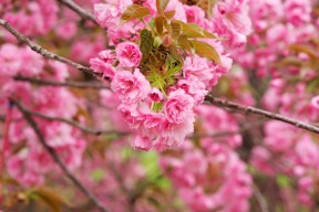 爱游戏-五大联赛是否趋向阵型宽度最大化以撕裂防线，五大联赛系数