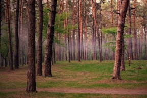 爱游戏 电竞-德甲快攻先锋：突破防线即刻得分！，德甲最快速度