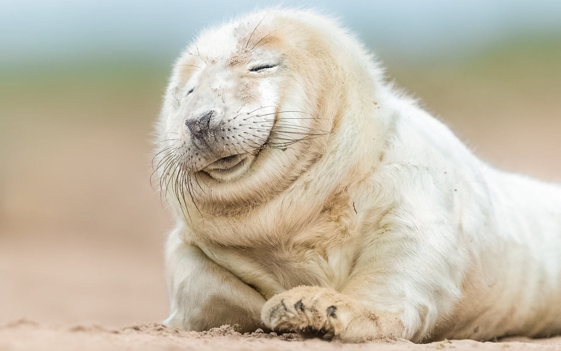 全国青少年铁人比赛青岛站圆满结束,2021青少年铁人三项比赛