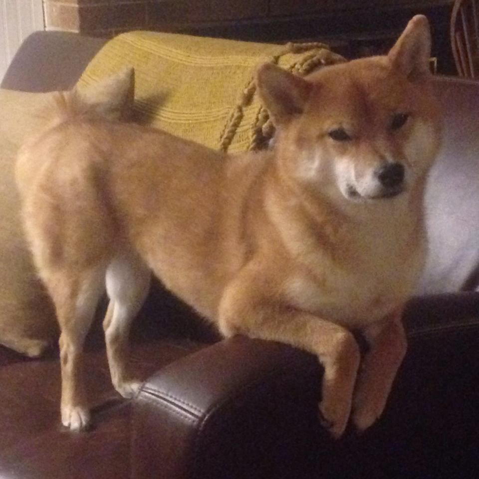 国足攻守两端失误点位置热图,国足打法