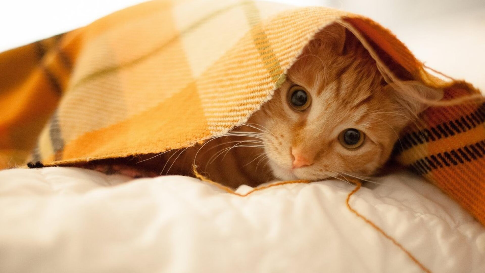 中国三人篮球女队提高阵地战处理能力,中国三人篮球女篮