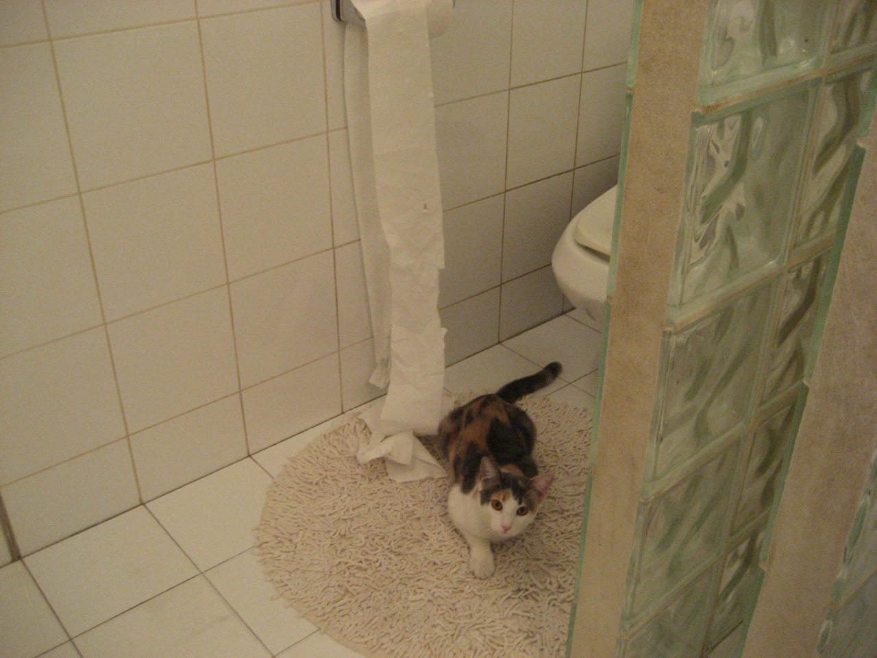 五大联赛战术执行难度是否因视频分析而降低,五大联赛的赛制