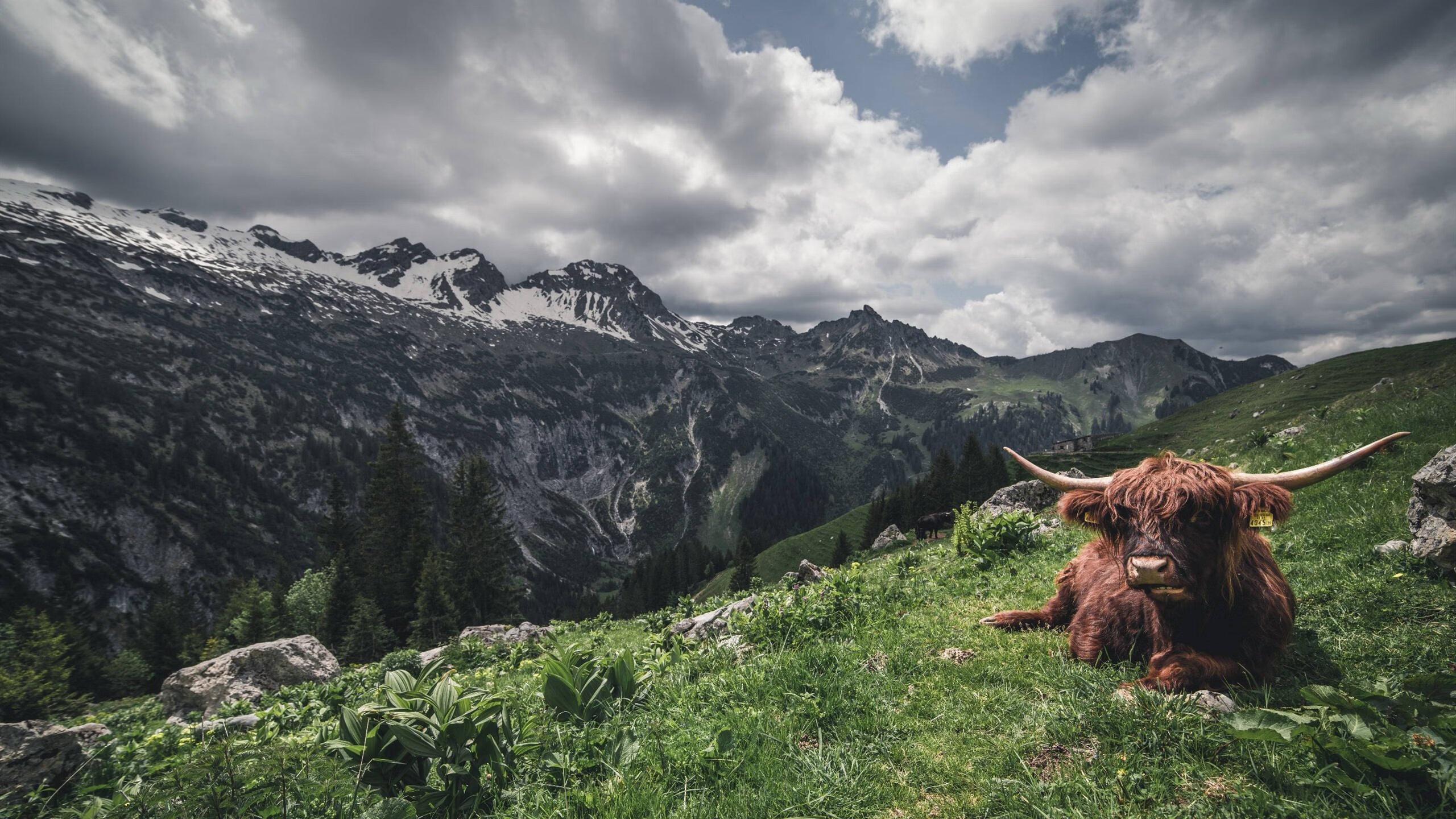 拉齐奥整体推进带来持续威胁,拉齐奥怎么样