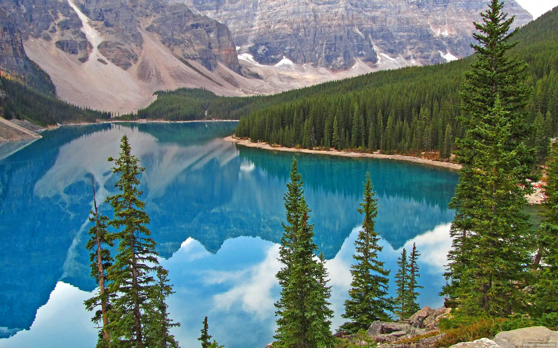 新加坡队赛制分析:团体赛制下的战术部署与团队协作,新加坡小组赛