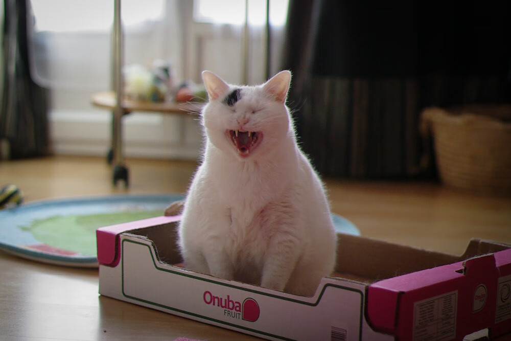 门将长传是否常用于拉开防线制造反击空间,门将穿长裤