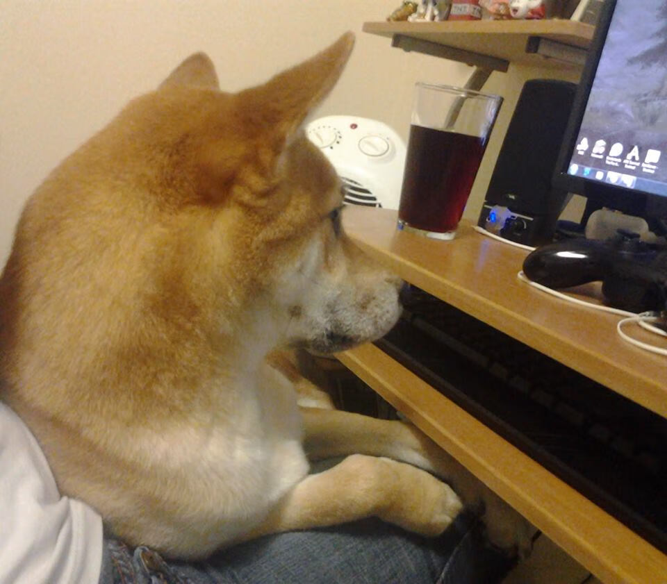 米兰双雄奋力拼搏，争夺意甲冠军战火升腾