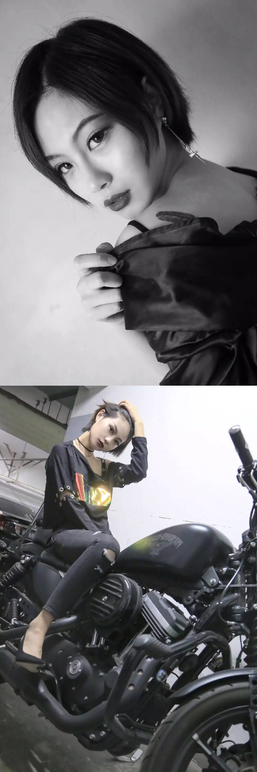 美洲杯激情狂欢：明星演绎绿茵盛宴！，播放美洲杯