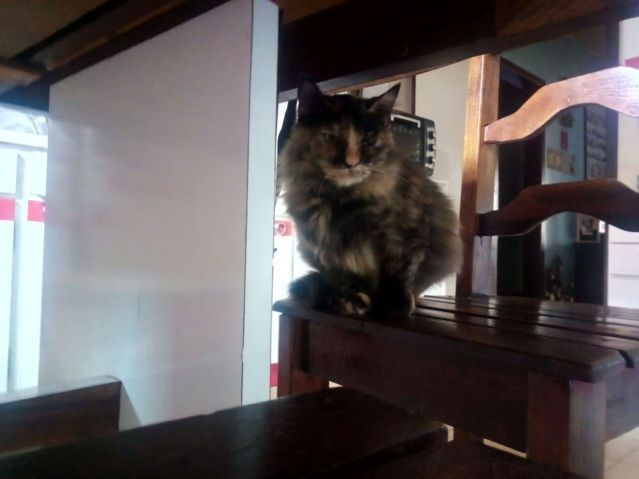 中国足球职业联赛引导公平竞赛文化，中国足球协会关于足球竞赛规则